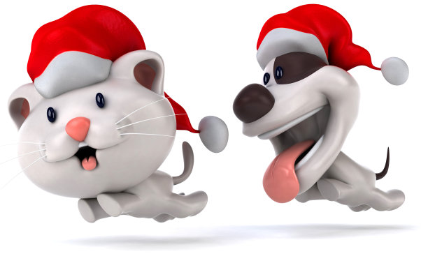 猫和狗图片下载