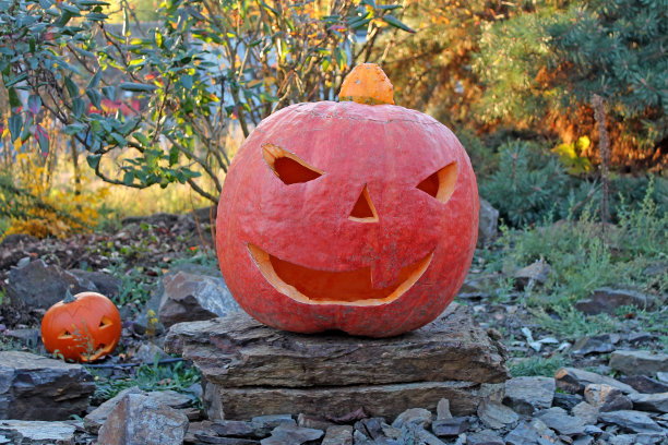 万圣节南瓜图片下载