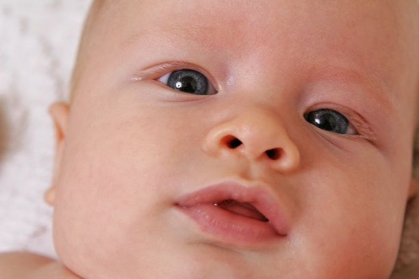 娃娃脸图片下载