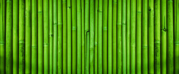 青竹栅栏纹理图片下载