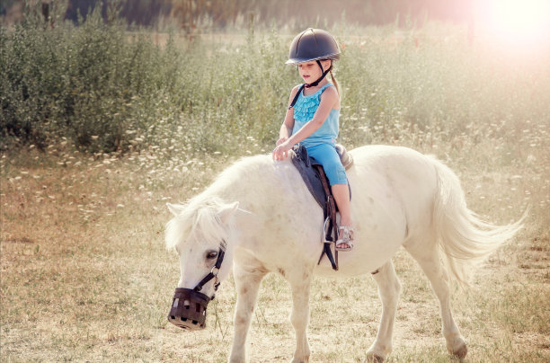 小女孩骑在马上。白色poni。图片下载