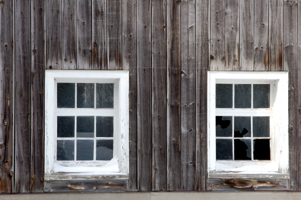 双胞胎图片下载