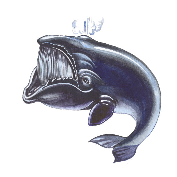鲸鱼图片下载
