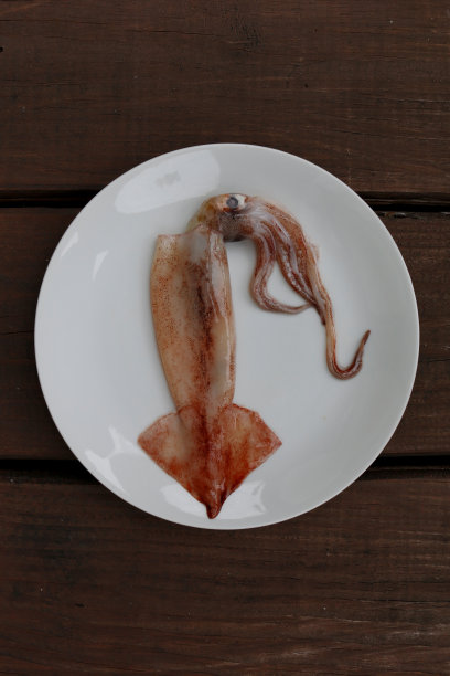 在白盘子里冷冻两条鱿鱼图片下载