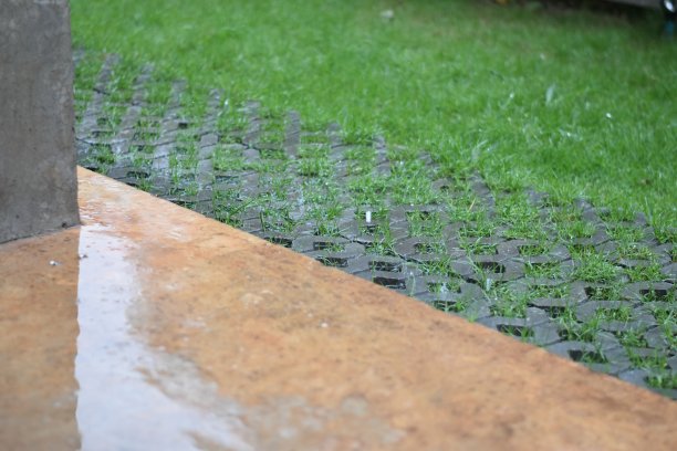 阳台上，大雨过后。图片下载