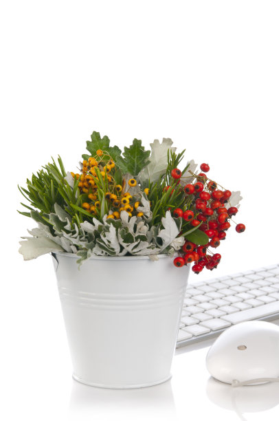 绿色办公理念图片下载