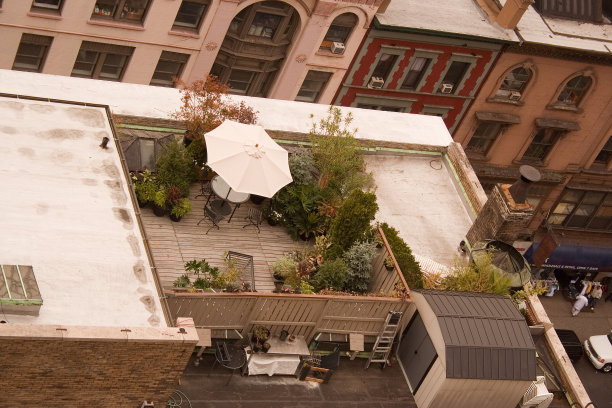 纽约的屋顶花园图片下载