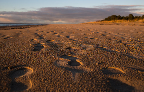 模糊的背景图片上的脚印沿着海边沙滩图片下载