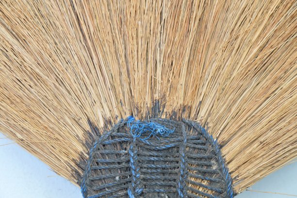 金雀花草倚在旧的白色建筑墙上图片下载