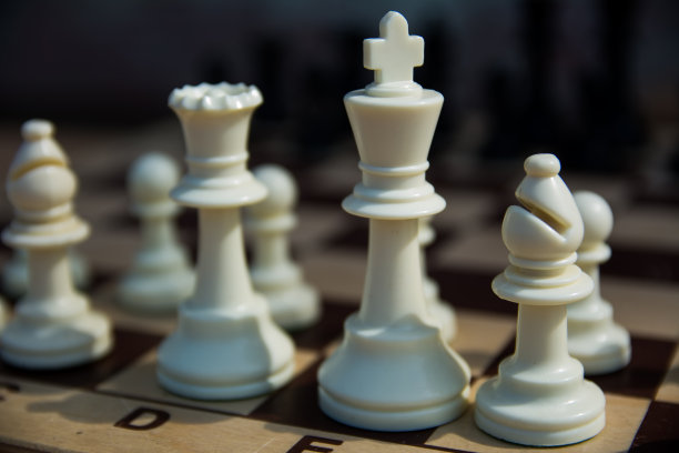 白色的象棋数据图片下载