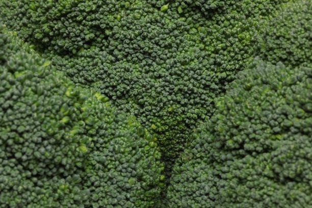 特写照片西兰花图片下载