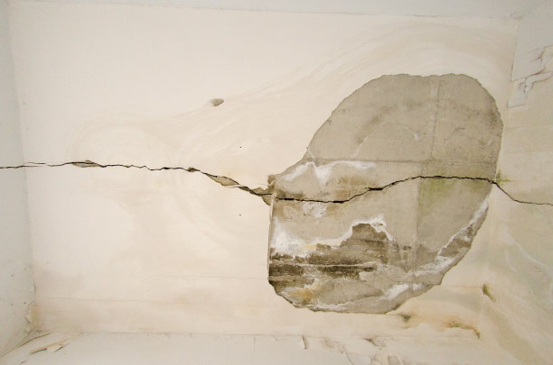 屋顶有霉菌，漏雨图片下载