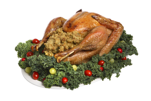 感恩节火鸡（已隔离）图片下载