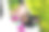 小女孩坐在白色的车里图片下载