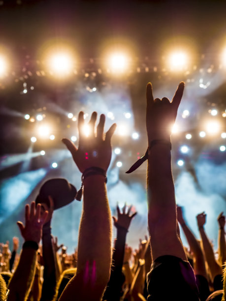 音乐会的人群图片下载