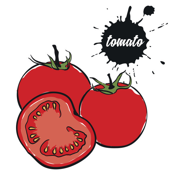 蔬菜红色的西红柿图片下载