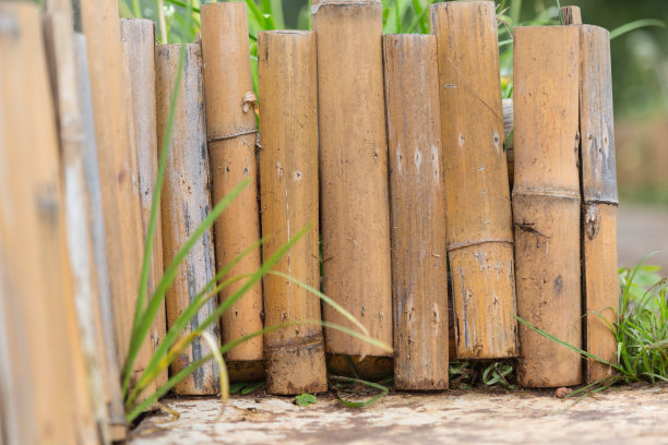 老竹子可以做花园的小墙图片下载