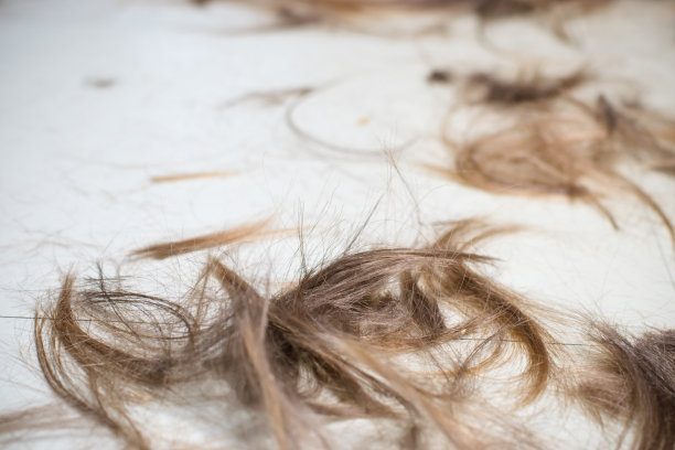 美女头发图片素材ID：135667660