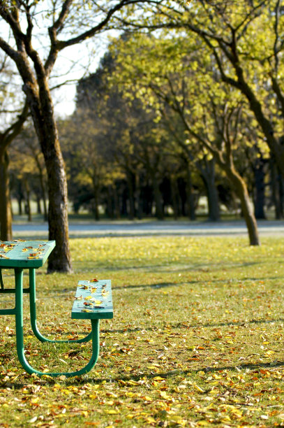 秋天的早晨在公园里图片下载