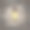 《石墙上的灯笼》图片下载