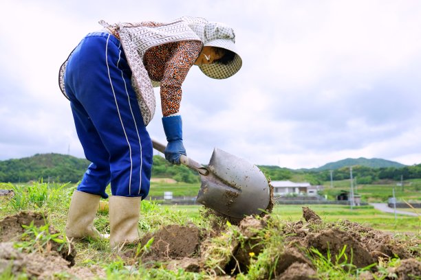 在农村地区从事农业工作的日本老人图片下载