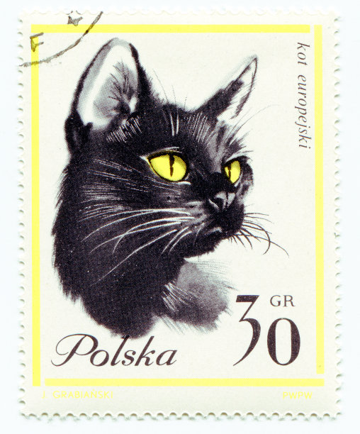 一只欧洲猫，印在来自波兰的老式已取消的邮票上图片下载