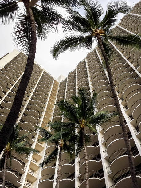 公寓和热带棕榈树图片下载