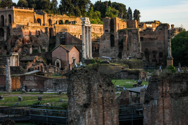 罗马论坛图片下载