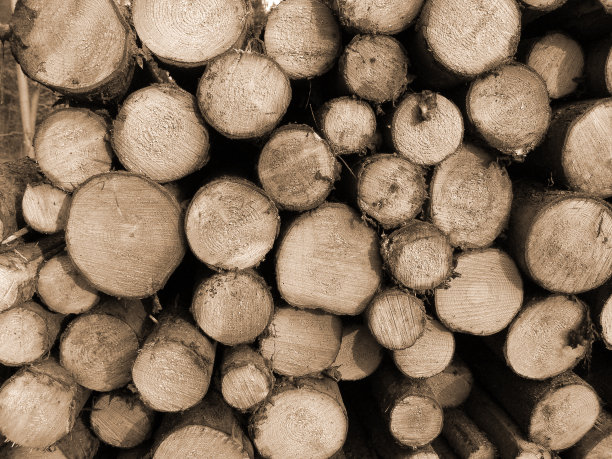 切割木材图片下载