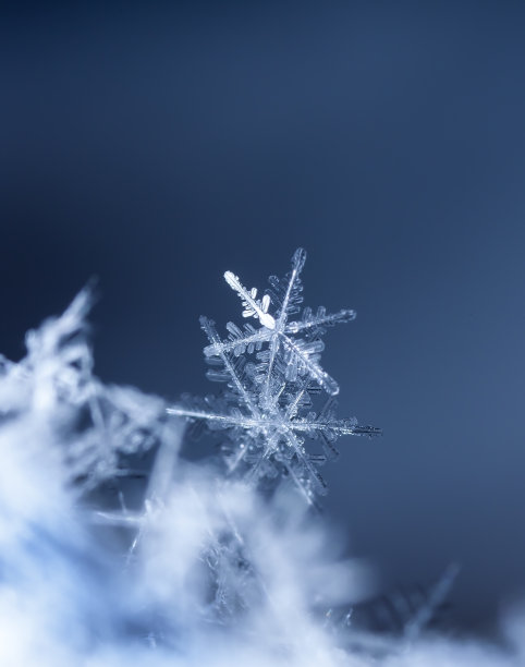 冬至背景图素材ID：135717580