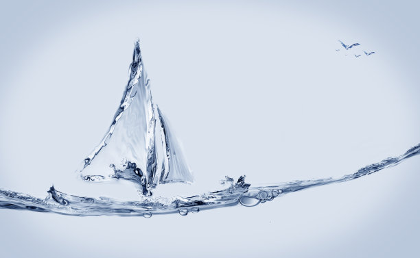 船和鸟类图片下载