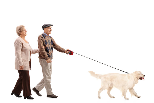 一对老夫妇在遛狗图片下载