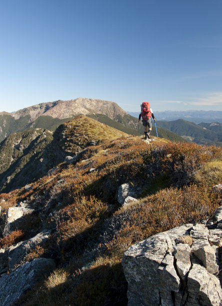 新西兰纳尔逊林图尔山山脊上的徒步者图片下载
