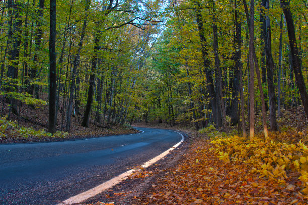 隧道的树木图片下载