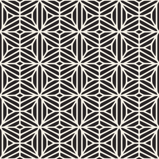 矢量无缝黑白民族几何花卉图案素材图片