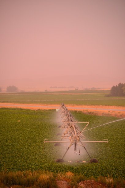 美国爱达荷州的浇水场图片下载