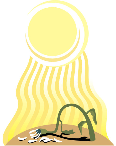 枯萎flower.eps图片下载