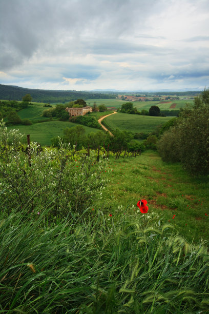托斯卡纳图片下载