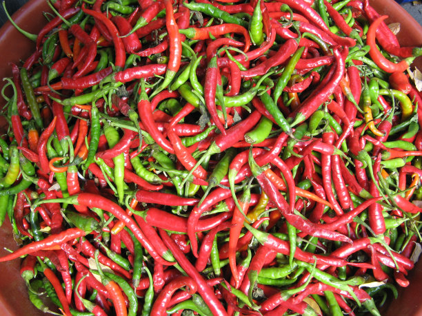 意大利辣椒胡椒图片下载