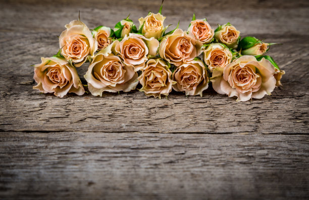 玫瑰图片素材ID：135789358