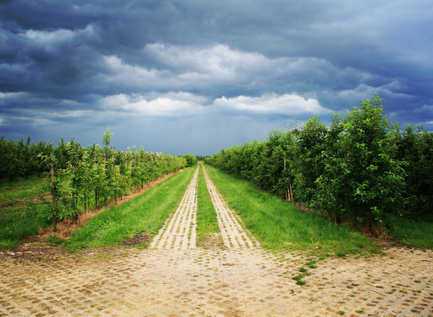 波兰华沙郊外空旷不祥的田野图片下载