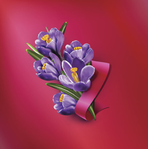 矢量贺卡与蓝色番红花，红丝带图片下载