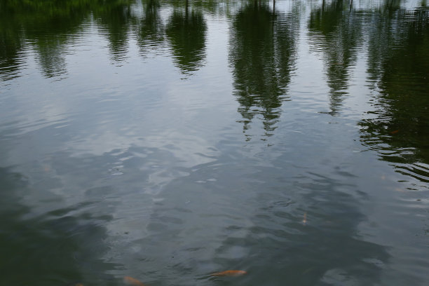 水反射图片下载