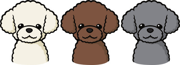 玩具贵宾犬(狗)图片下载