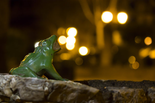 龙的青蛙图片下载