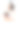 有氧健身操女子全身孤立跳跃。图片下载