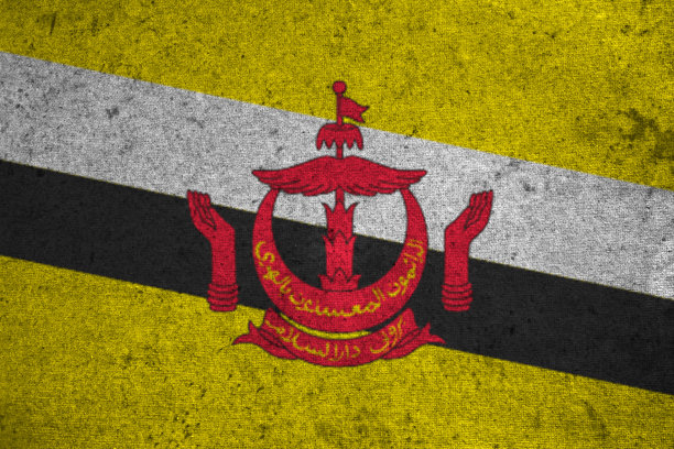 文莱国旗上的旧垃圾背景图片下载