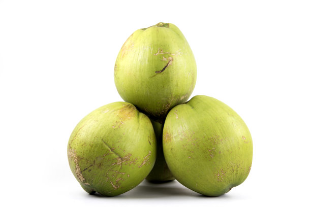 绿椰子集团图片下载