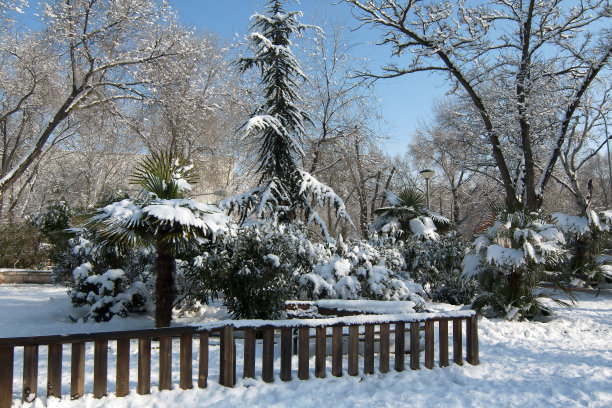 雪公园图片下载