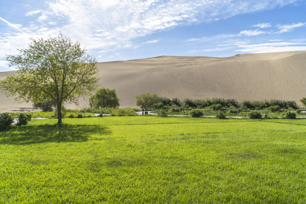 中国甘肃敦煌沙漠中的绿洲图片下载